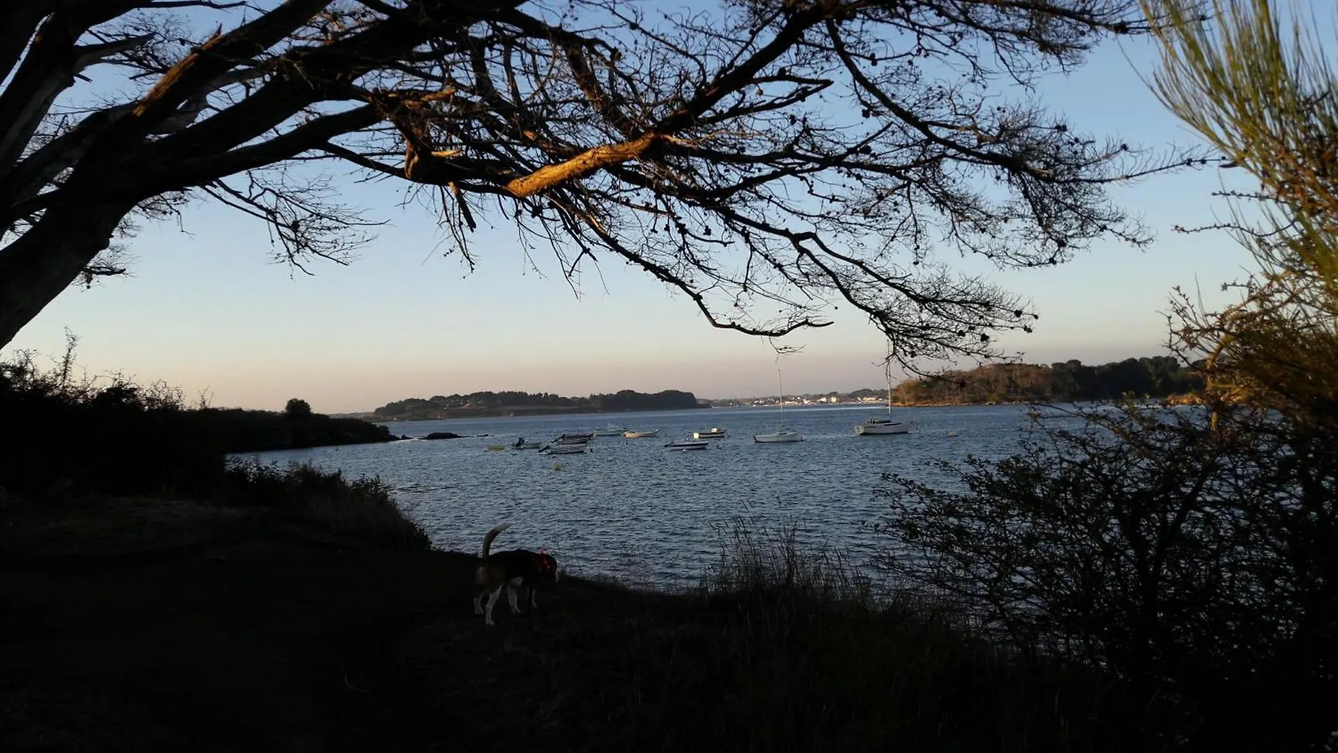 Maison Familiale En Bord De Mer Arzon